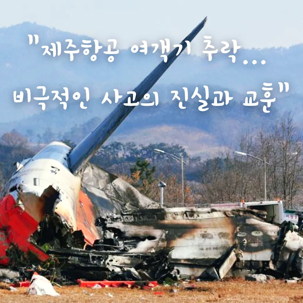 제주항공 무안공항 참사, 원인과 교훈 2026년 항공 안전 점검