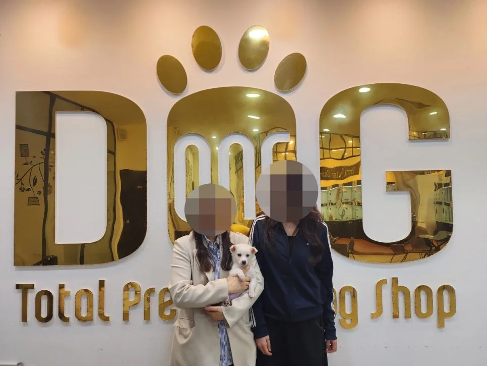 세종시 강아지 분양 2026: 유기동물 입양, 믿을 수 있는 곳은?