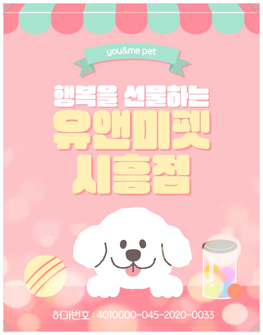 먼치킨 고양이 분양 2026: 하남 유앤미펫 입양 후기 & 체크리스트