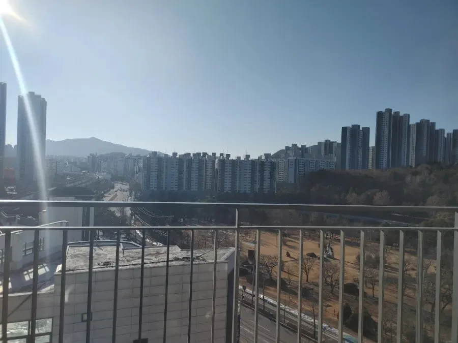 춘천 겨울 여행 2026: 풍물시장, 카페, 호텔 완벽 가이드