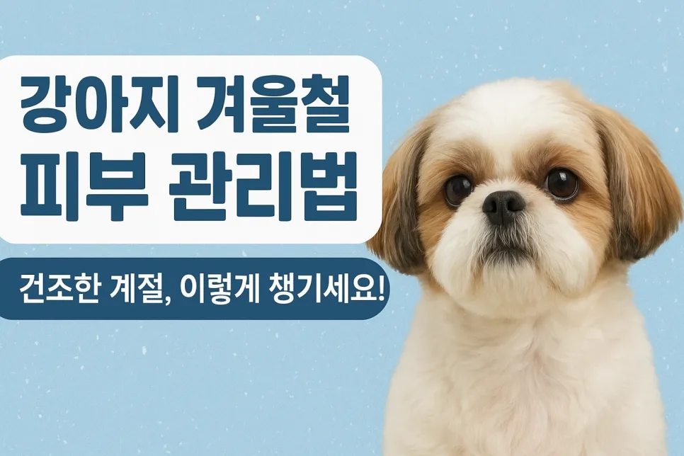 2026년 강아지 겨울 피부 관리법: 건조함·각질·갈라짐 해결 팁
