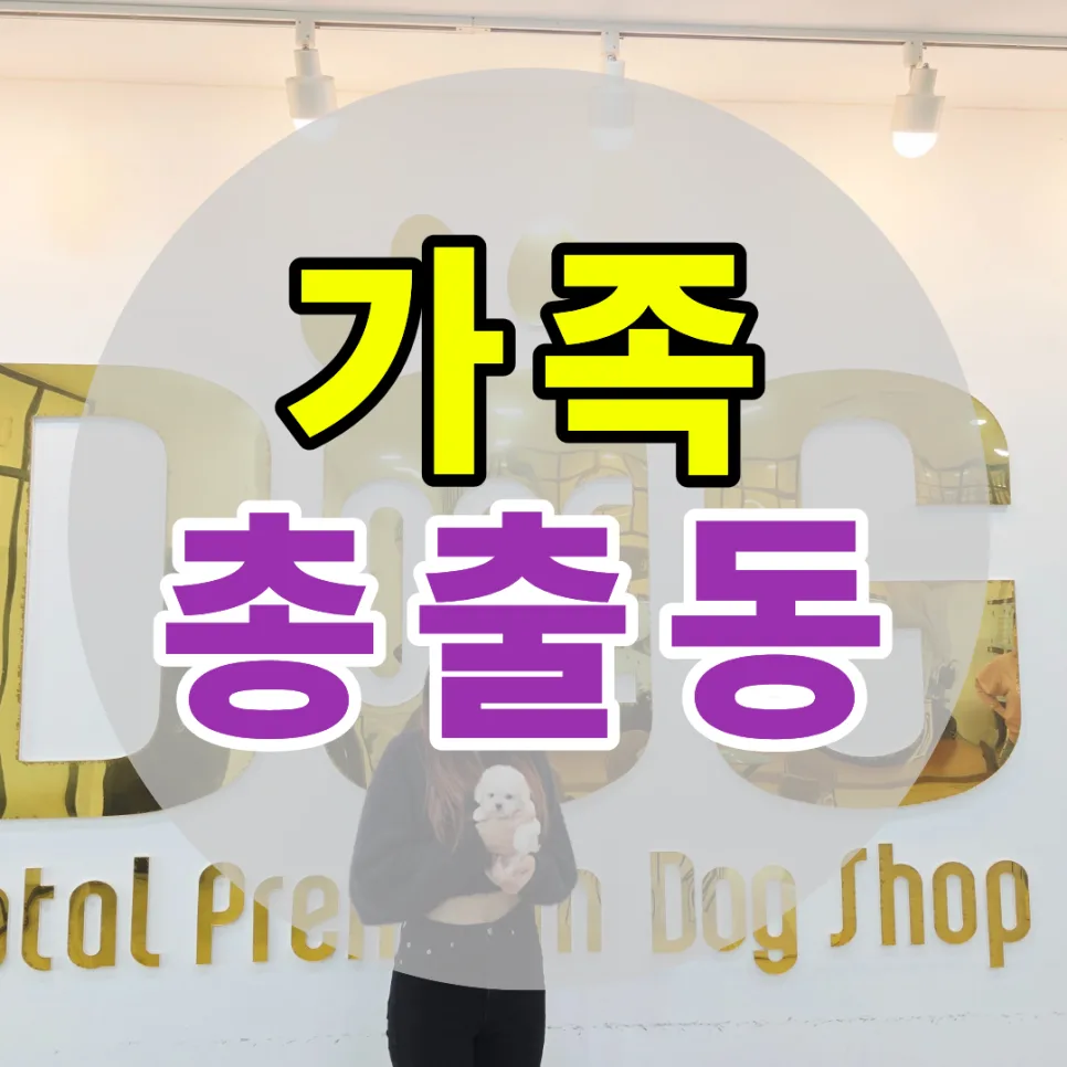 2026년 세종 강아지 분양: 비숑 입양 가족의 감동 스토리