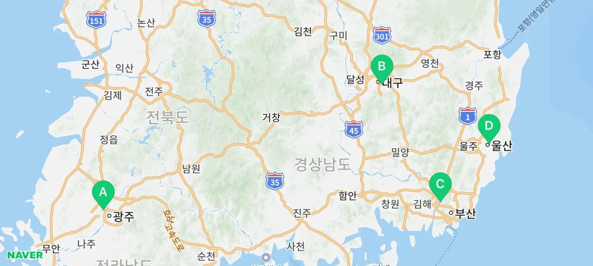광주 고양이 입양 후 필수 확인 사항 5가지 (2026년 최신)