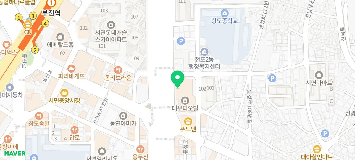 2026년 전포동 말티푸 분양: 귀여운 왕눈이 '쥴리' 입양 가이드 2