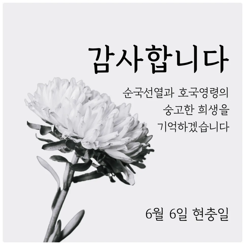 현충일 조기 게양법과 의미 2026: 묵념 사이렌 총정리