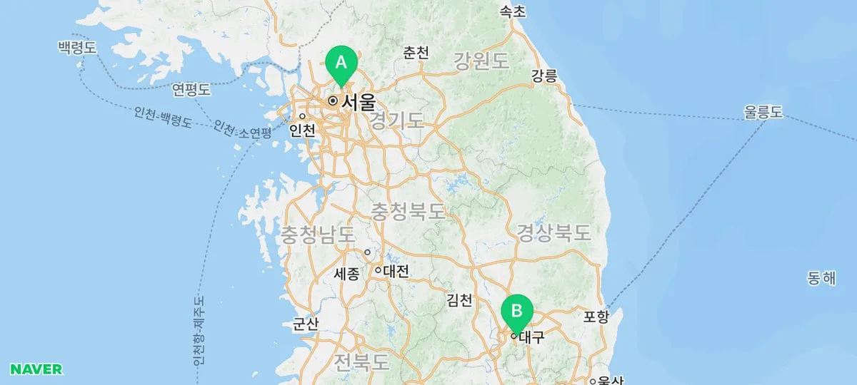 브리티쉬 숏헤어 분양 2026: 건강 확인 필수 체크리스트 5가지 — 반려동물 — yakooroo