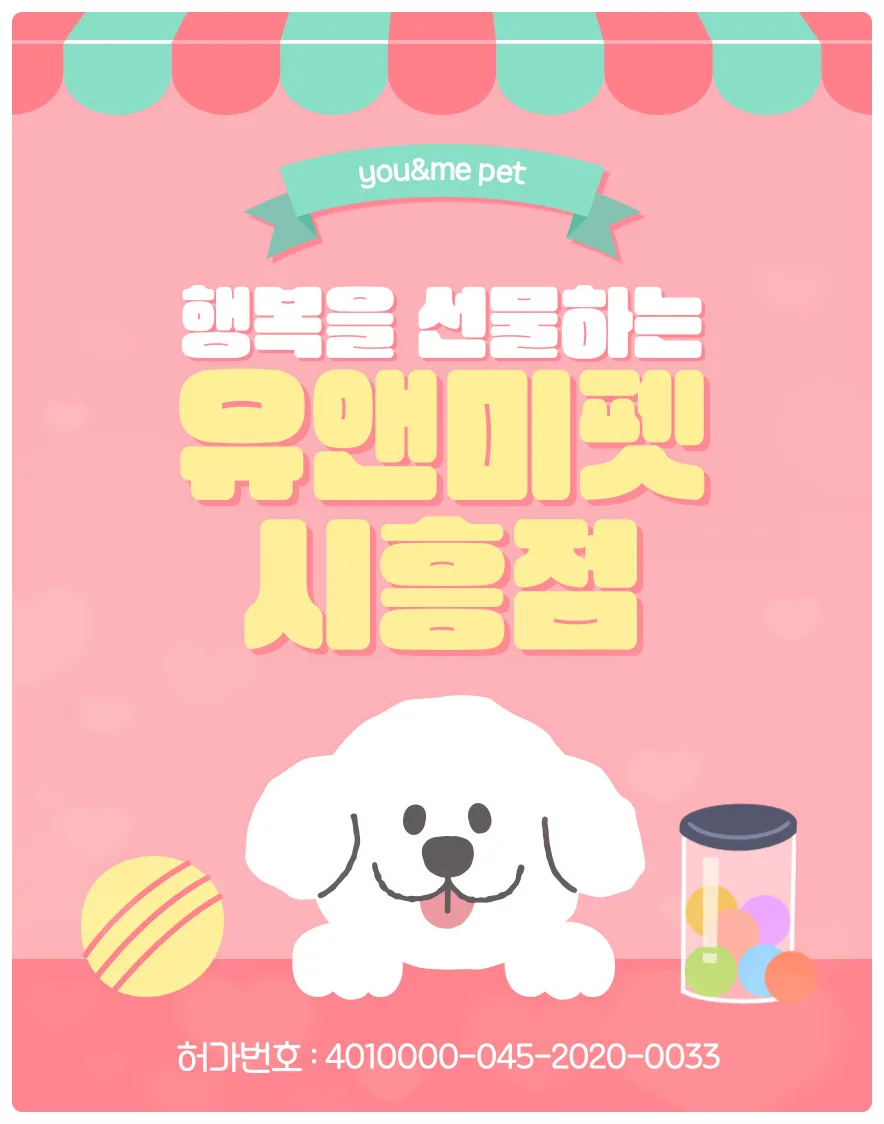 수원 영통 푸들 분양 2026: 유앤미펫 경험자 솔직 후기 및 선택 이유