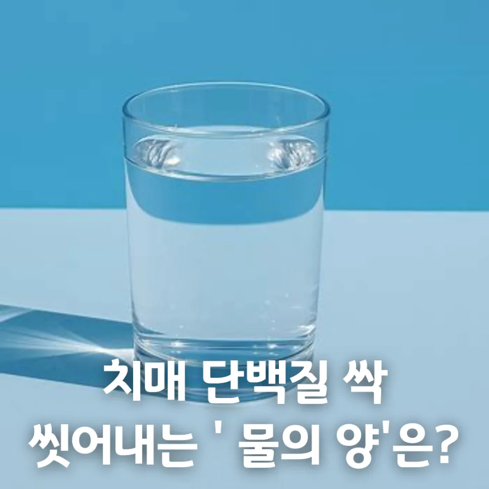 치매 예방 물 섭취량 2026: 하루 5컵으로 뇌 건강 지키는 법