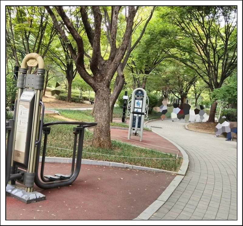 Incheon Central Park 2026: Top 5 Family Outing Spots 2