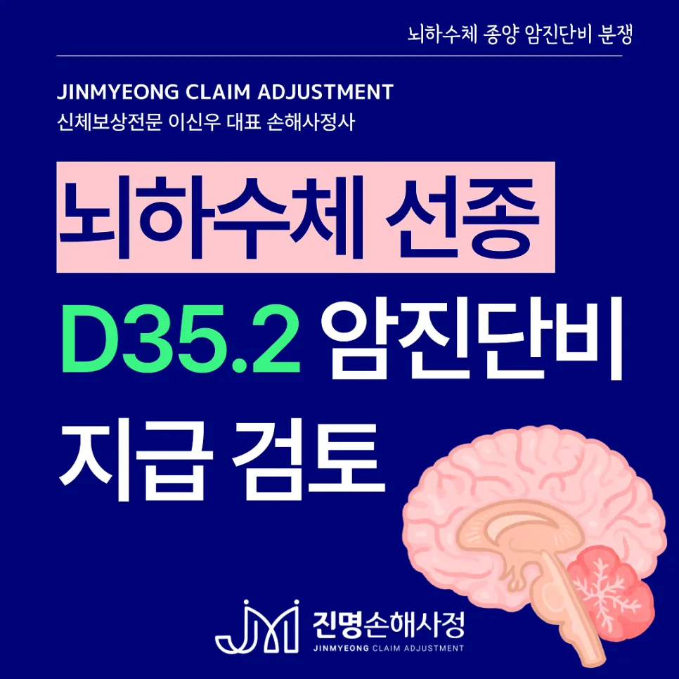 뇌하수체선종 D352 일반암 보험금 지급 가능성 2026년 총정리