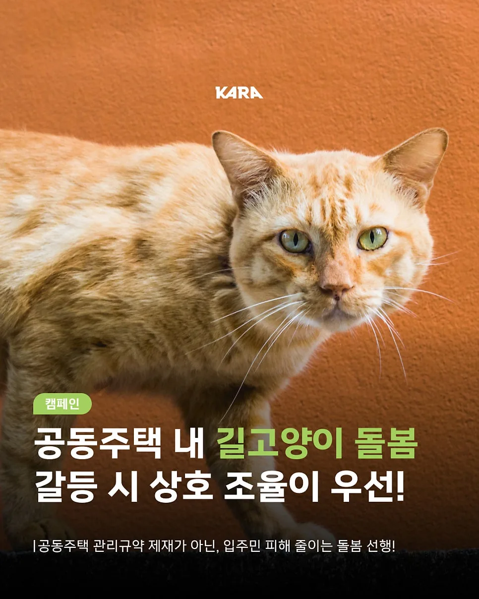 공동주택 길고양이 돌봄 갈등 해결법 2026