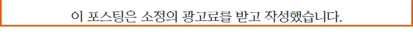 수원 고양이 분양 2026: 건강한 반려 가족 찾는 법 (독스캣 경험)