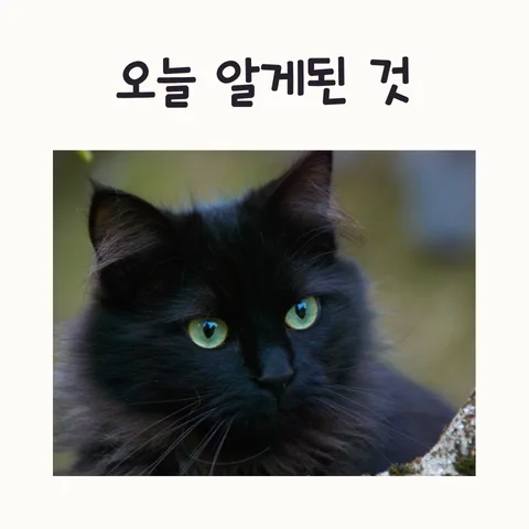 AI 영상 제작 2026: 제미나이 vs 챗GPT 플러스 비교 및 활용법