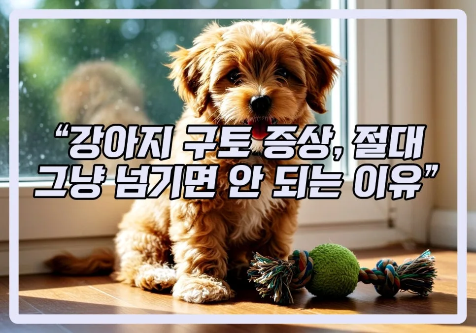 강아지 구토, 2026년 병원 가야 할 신호 구별법 총정리