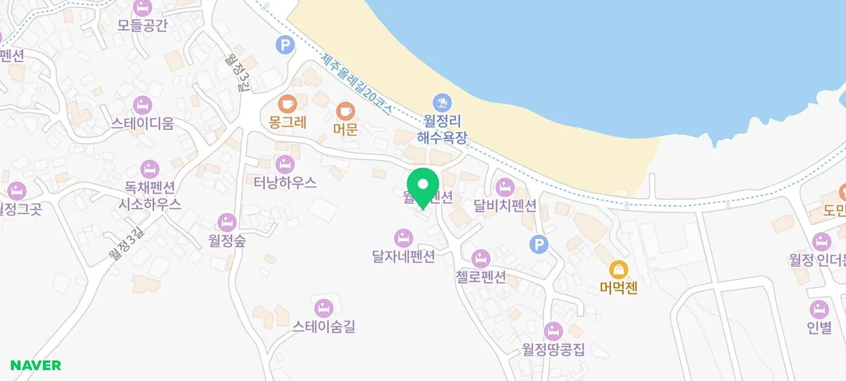 제주도 애견샵 2026: 건강한 반려견 찾는 법과 후기