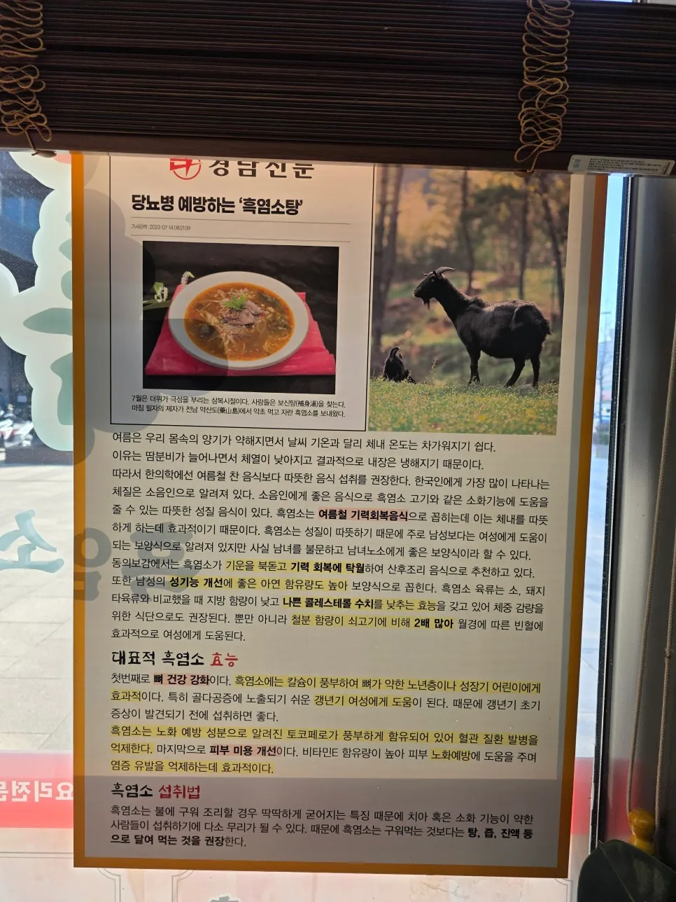 흑염소 효능 2026: 성인병 예방부터 피부 미용까지 총정리