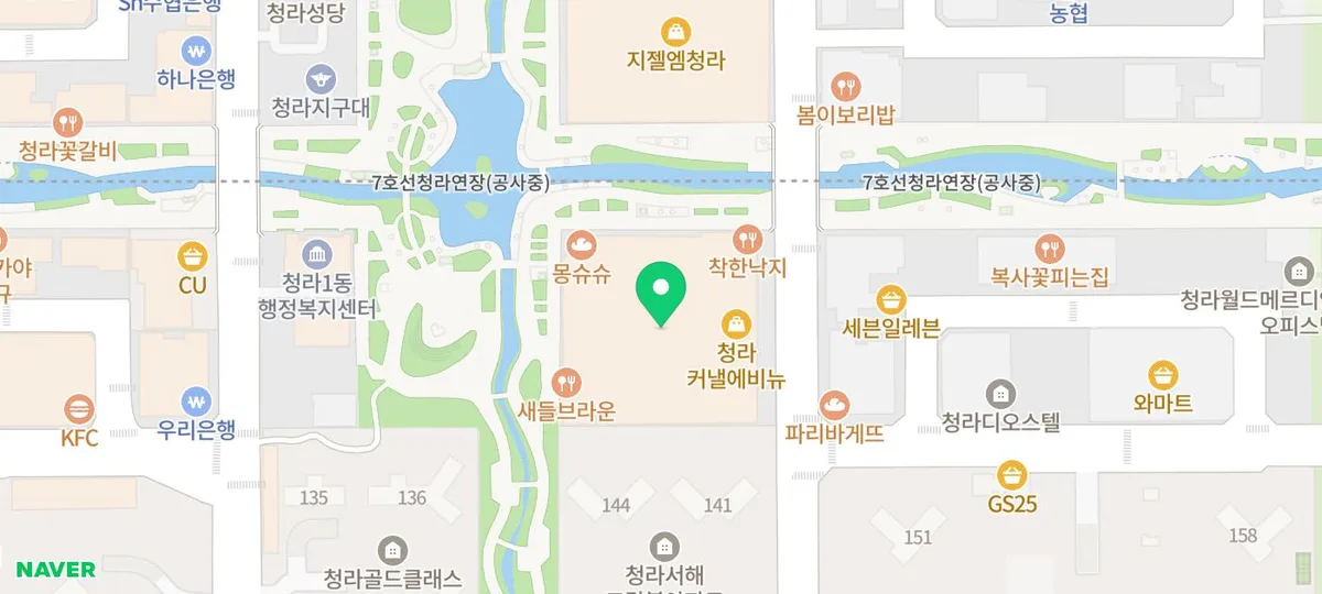 청라 고양이 분양 2026: 라가머핀 입양 경험자 추천