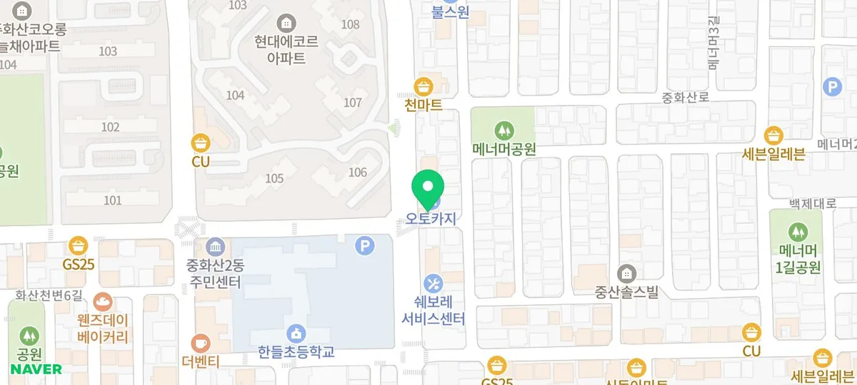강아지 눈 관리, 정기 검진으로 건강 지키는 법 2026 2