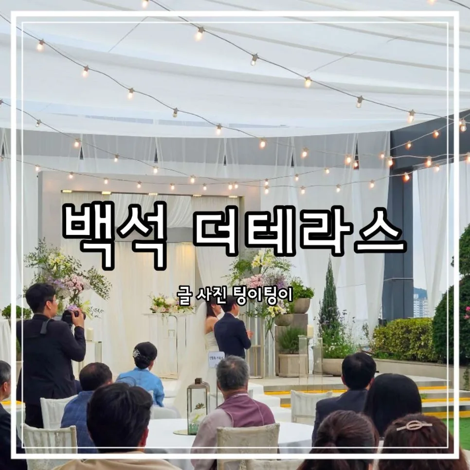 일산 웨딩홀 더테라스 2026년 야외예식 비용과 장단점 총정리