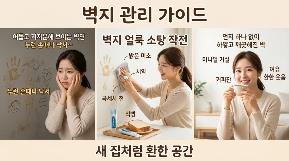 벽지 얼룩 제거 꿀팁 2026: 치약, 식빵으로 새 집처럼 만드는 법