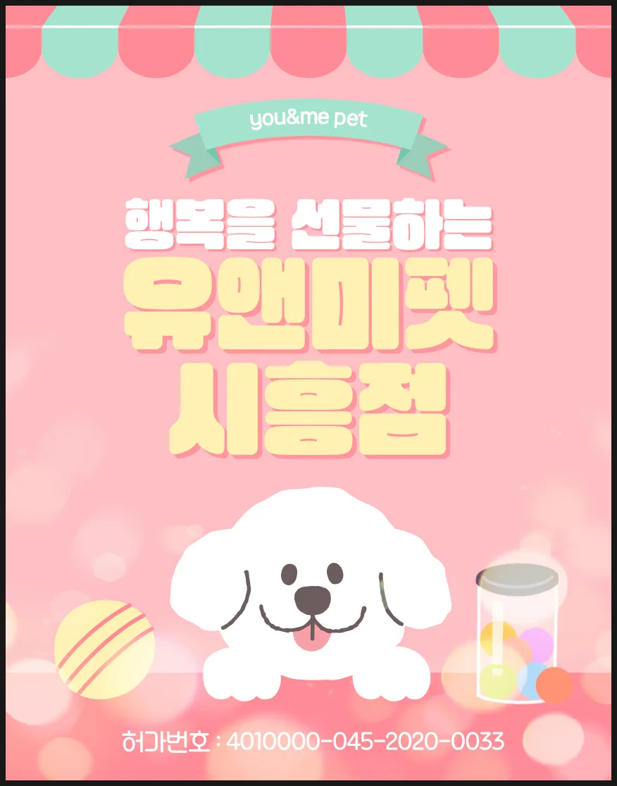성남정자동 말티푸 분양, 2026년 최적의 선택 가이드