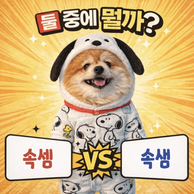 속셈 vs 속샘: 헷갈리는 맞춤법, 2026년 정확히 구분하는 법