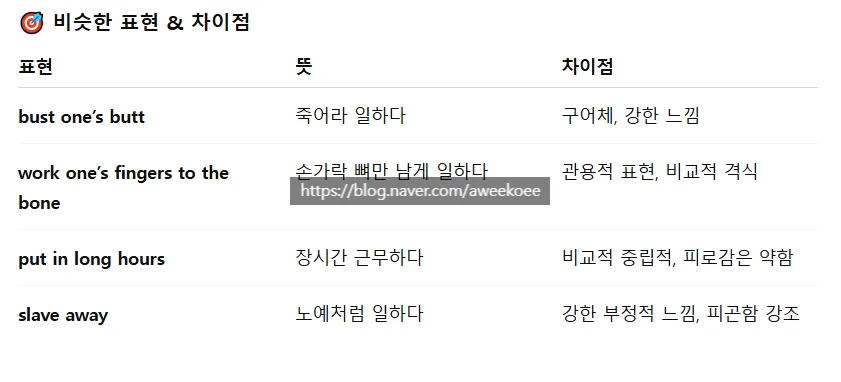 영어 회화 필수 표현: 뼈 빠지게 일하다, 관련 있다 (2026년 최신)