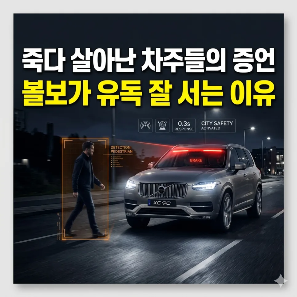 볼보 시티 세이프티 2026: 사고 22% 줄인 비결과 실제 경험