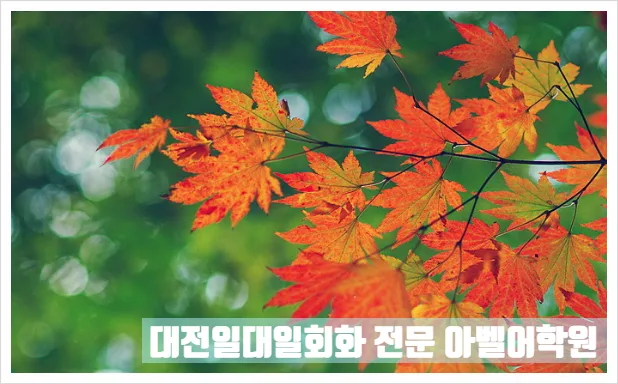 Learn Korean Fast: 2026 Roadmap for Fluency