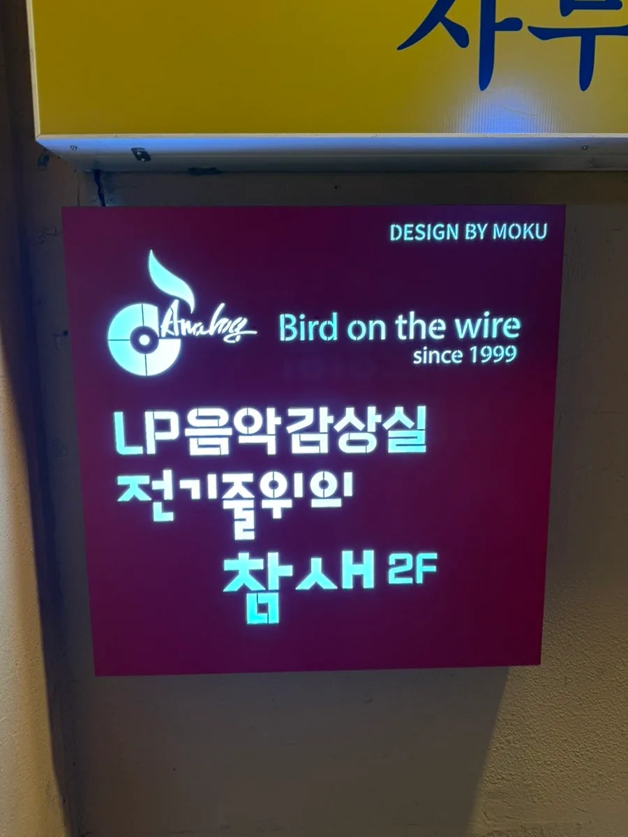 대전 LP바 전기줄 위의 참새, 2026년 방문 후기 및 솔직 평가 2