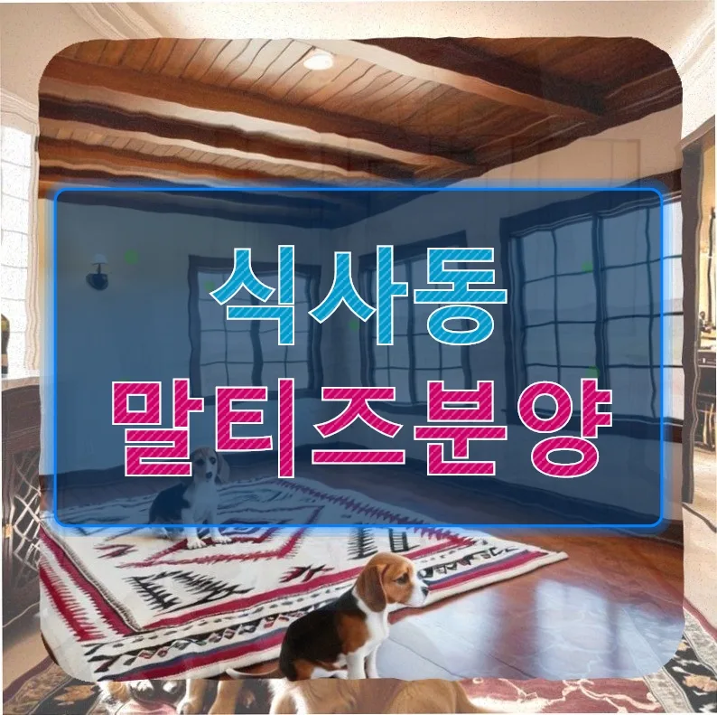 식사동 말티즈 분양 2026: 책임감 있는 반려 생활 가이드