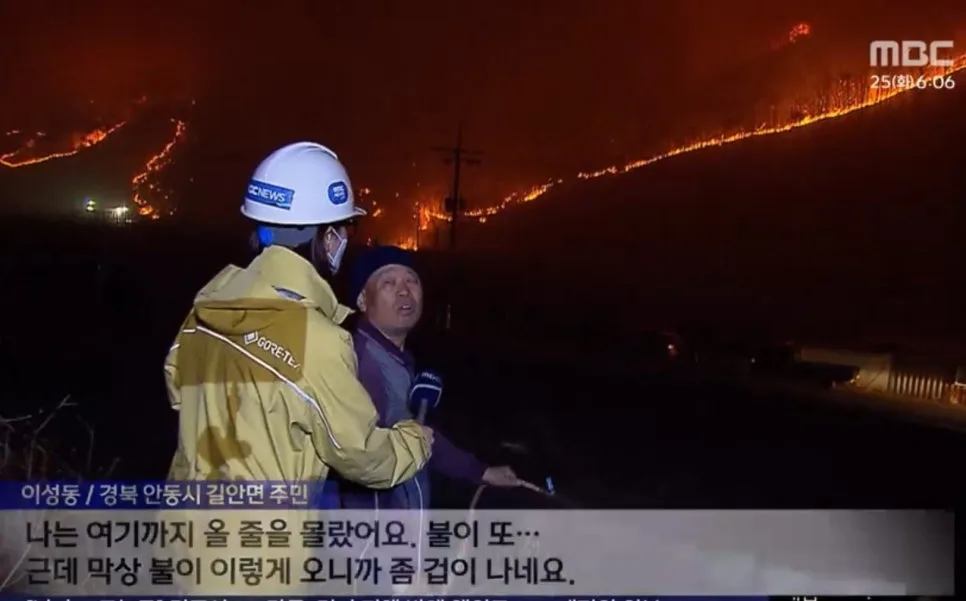 실화도 살인죄? 2026년 변경된 산불 책임 범위 총정리
