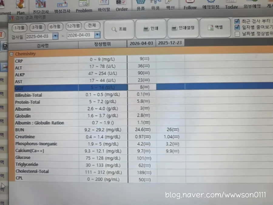 강아지 혈액검사 항목별 해석 가이드 2026년 최신판
