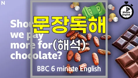 초콜릿 가격 상승 요인 2026: EU 법안이 농가·소비자에게 미치는 영향