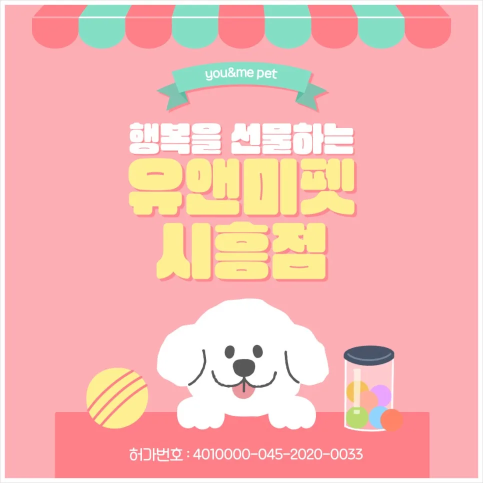 2026년 화성 샴고양이 분양, 유앤미펫 후기 및 입양 조건 총정리