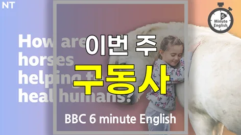 영어 구동사 마스터 2026: go through, grow into 등 핵심 활용법