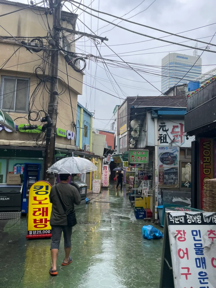 종로 닭한마리 맛집 2026: 진옥화할매 원조집 솔직 후기