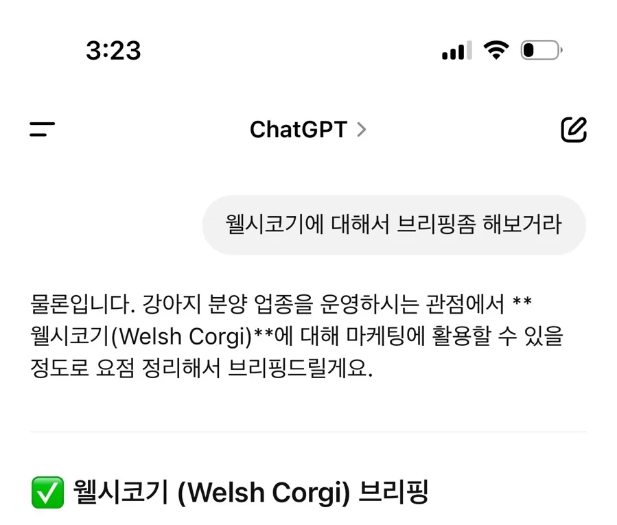 웰시코기 분양 2026: 펨브로크 vs 카디건, 똑똑한 반려견 선택 가이드